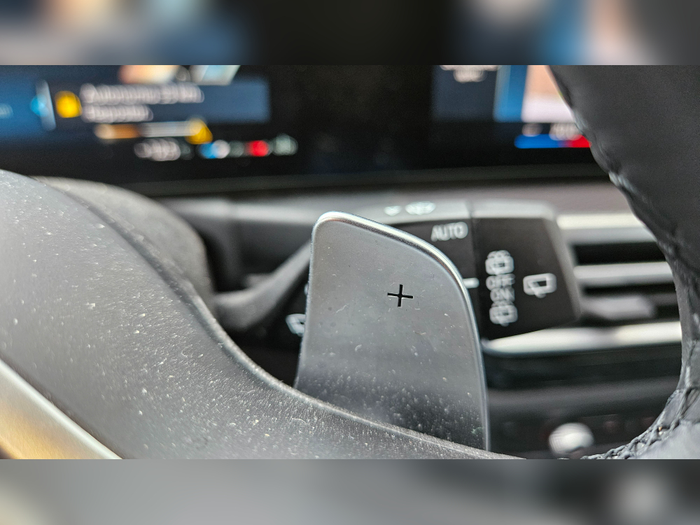 BMW Serie 3 318 d M Sport foto 36