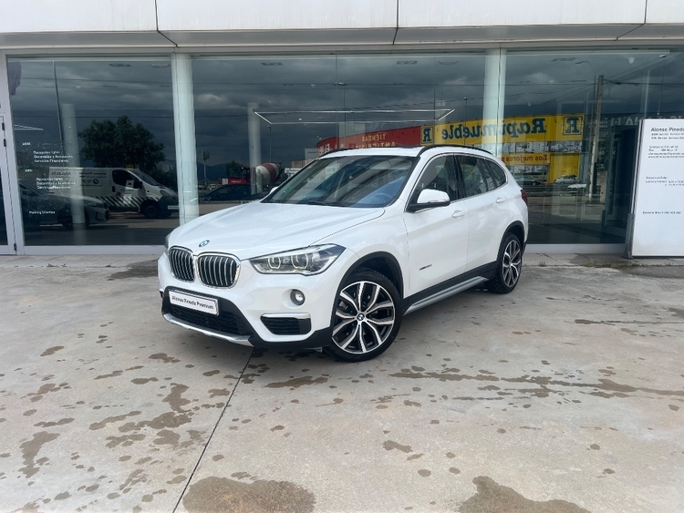 BMW Serie X1 xDrive 20d xLine foto miniatura
