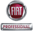 Servicio oficial Fiat profesional